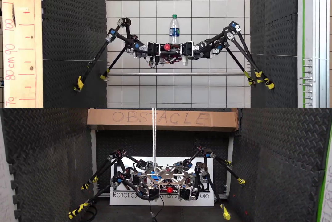SiLVIA Robot